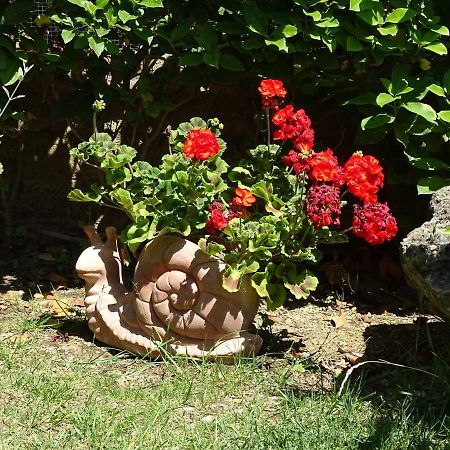 B&B La Dolce Vita Marsiliana Dış mekan fotoğraf