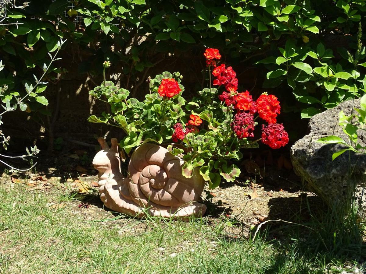 B&B La Dolce Vita Marsiliana Dış mekan fotoğraf