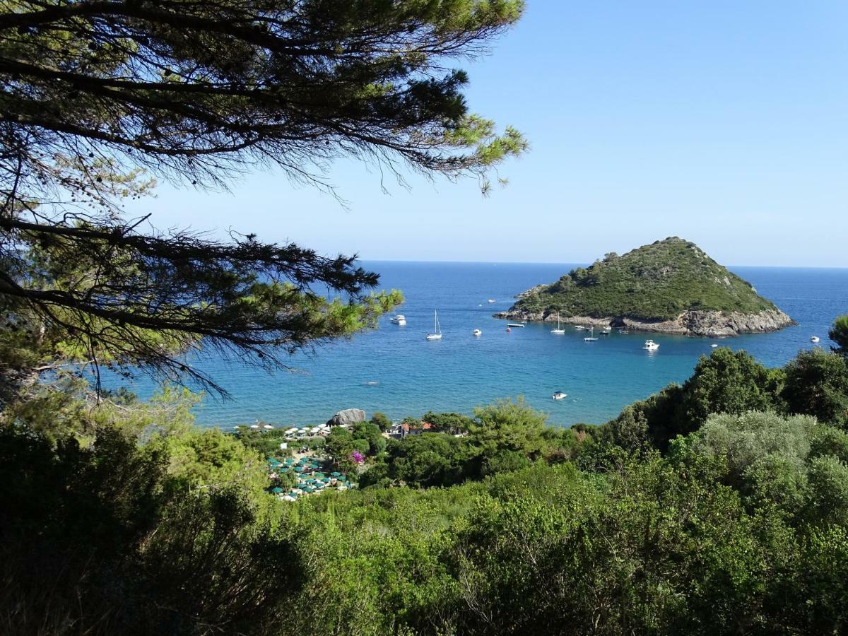 B&B La Dolce Vita Marsiliana Dış mekan fotoğraf