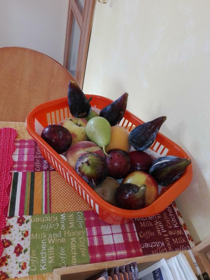 B&B La Dolce Vita Marsiliana Dış mekan fotoğraf